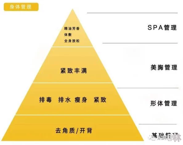 国产一区二区精华：解析中国自主品牌在高端护肤市场的崛起与发展趋势研究