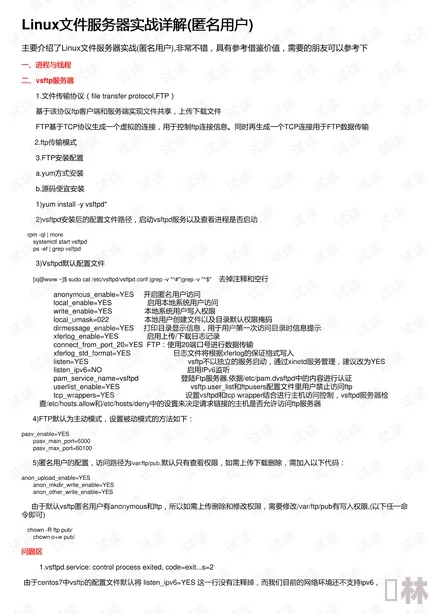 c-起草最新版本更新内容：全面解析新功能与改进，助力用户体验提升与系统优化