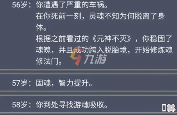 《模拟人生4》中探索：哪一款稀世佳酿身价最高，成为奢华生活的象征？