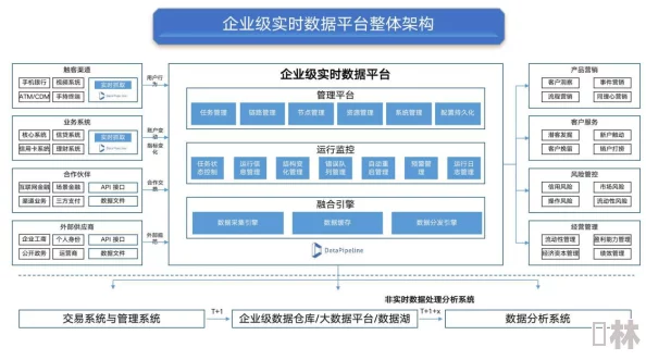 中日韩高清无专码区2021：最新动态与发展趋势分析，助力区域文化交流与合作新机遇