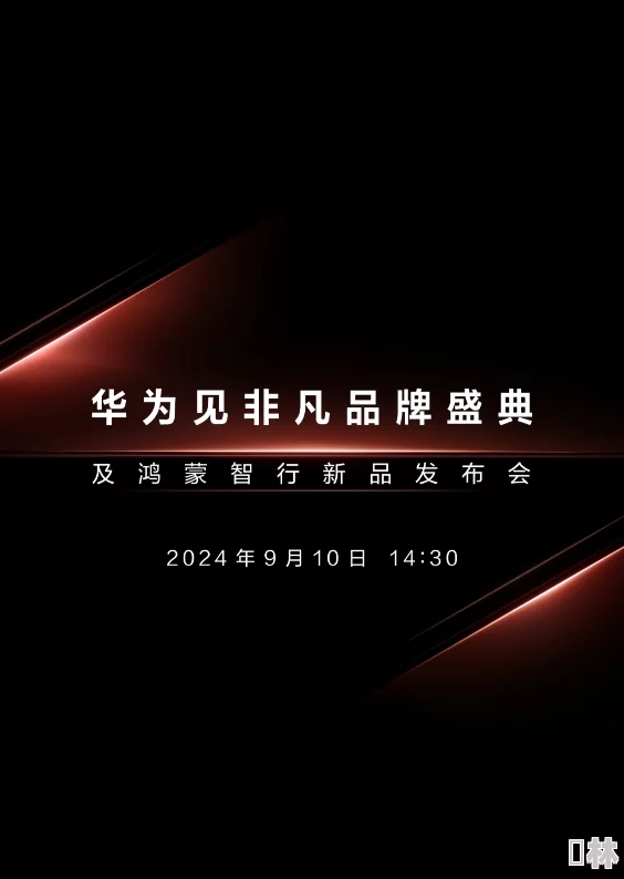 8x华为海外免费2024震撼来袭，全球用户将享受前所未有的网络体验与创新技术福利！