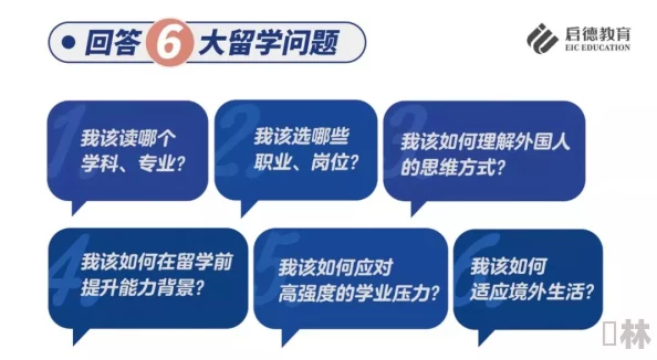 干逼应用：最新功能上线，用户体验大幅提升，助力高效工作与生活管理的全新选择！